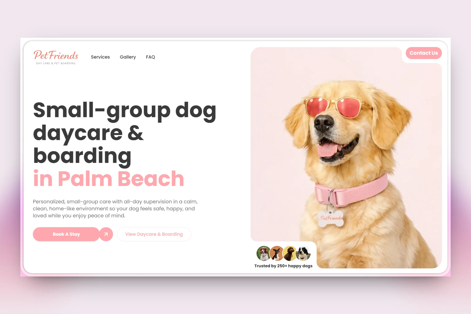 Dog Daycare & Boarding in Palm Beach