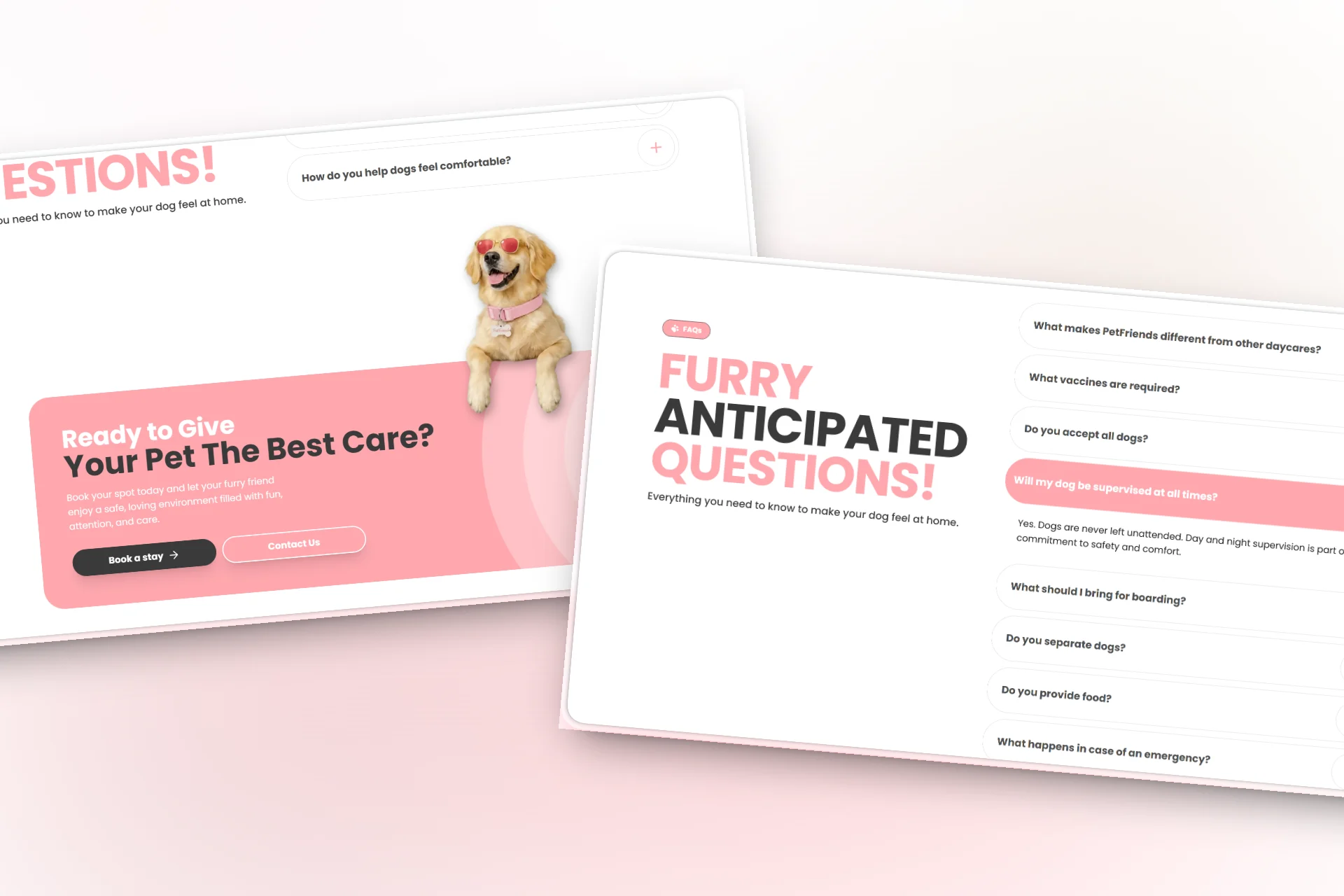 Dog Daycare & Boarding in Palm Beach