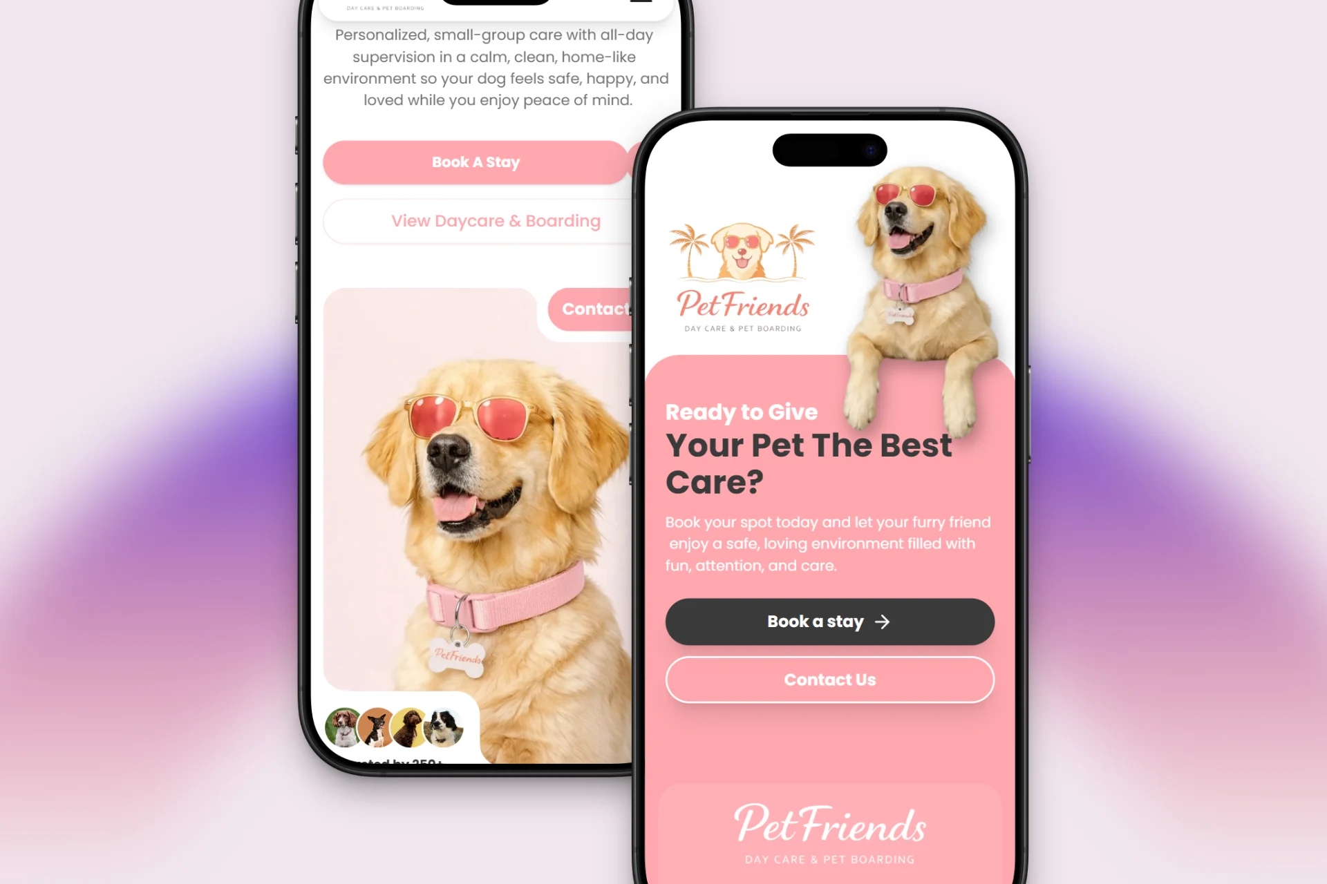 Dog Daycare & Boarding in Palm Beach